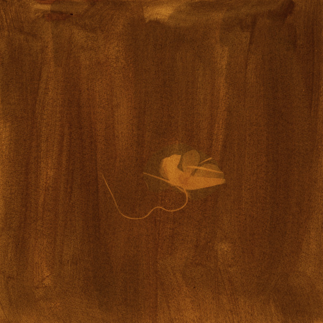 Imme, Julia Adriana - to all the things i've never done