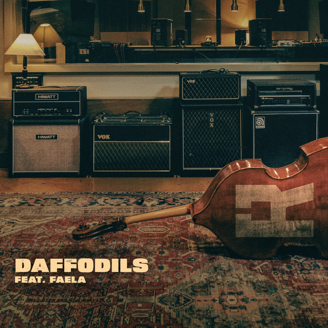 Racoon, Faela - Daffodils