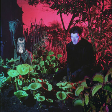 Vjèze Fur - Tuinieren (album)