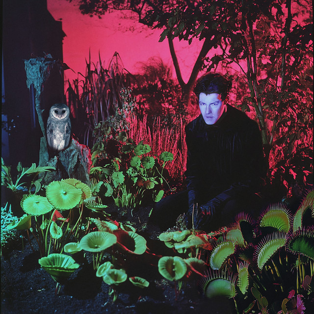 Vjèze Fur - Tuinieren (album)