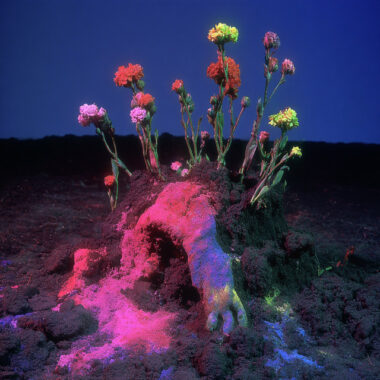 Vjèze Fur - Tuinieren